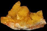 Sunshine Cactus Quartz Crystal - South Africa #98387-1